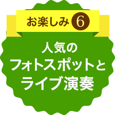 お楽しみ6 新ブース登場